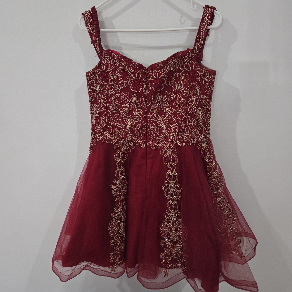 Anny Lee Sz XL Red Sleeveless V Neckline Zipper Embroidered Dress - Picture 3 of 6